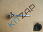 ������ �������� 