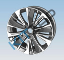 ���� �������� �����