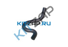 ����� - ���������� �������  