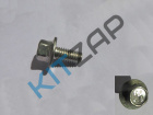 ���� ������������